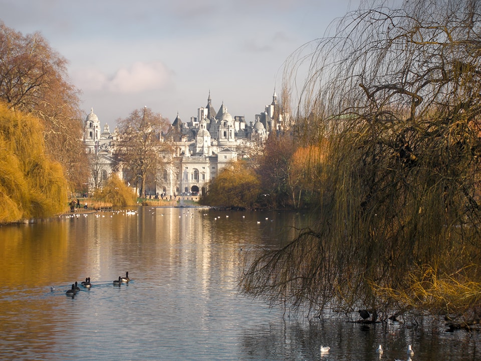 St. James's Park lake in London, bathed in warm autumn light. The city's historic architecture peeks through the trees, creating a picturesque urban oasis where nature and human design coexist in perfect harmony.