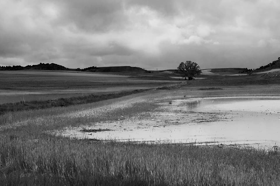 A moody landscape where land, water, and sky merge in a tapestry of textures. The lone tree serves as an anchor point in this fluid composition, while the reflective water in the foreground mirrors the brooding sky above. This image evokes a sense of peaceful solitude and the ever-changing nature of our environment.