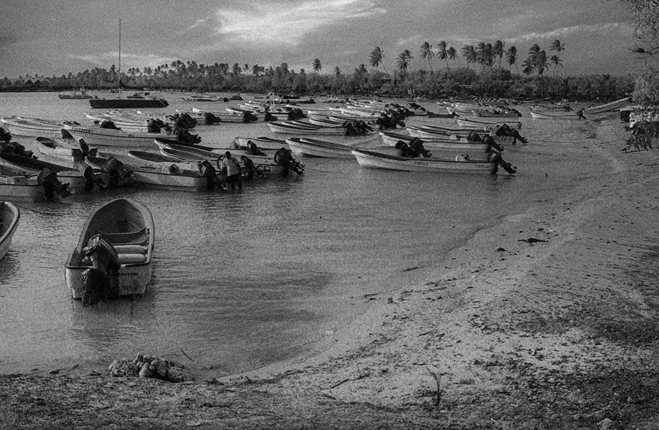 A flotilla of small boats crowds a tropical shoreline, telling the story of a community intimately connected to the water. The densely packed vessels create a captivating pattern, while the palm-lined shore provides a serene backdrop. This image captures the delicate balance between human industry and natural beauty in coastal communities.