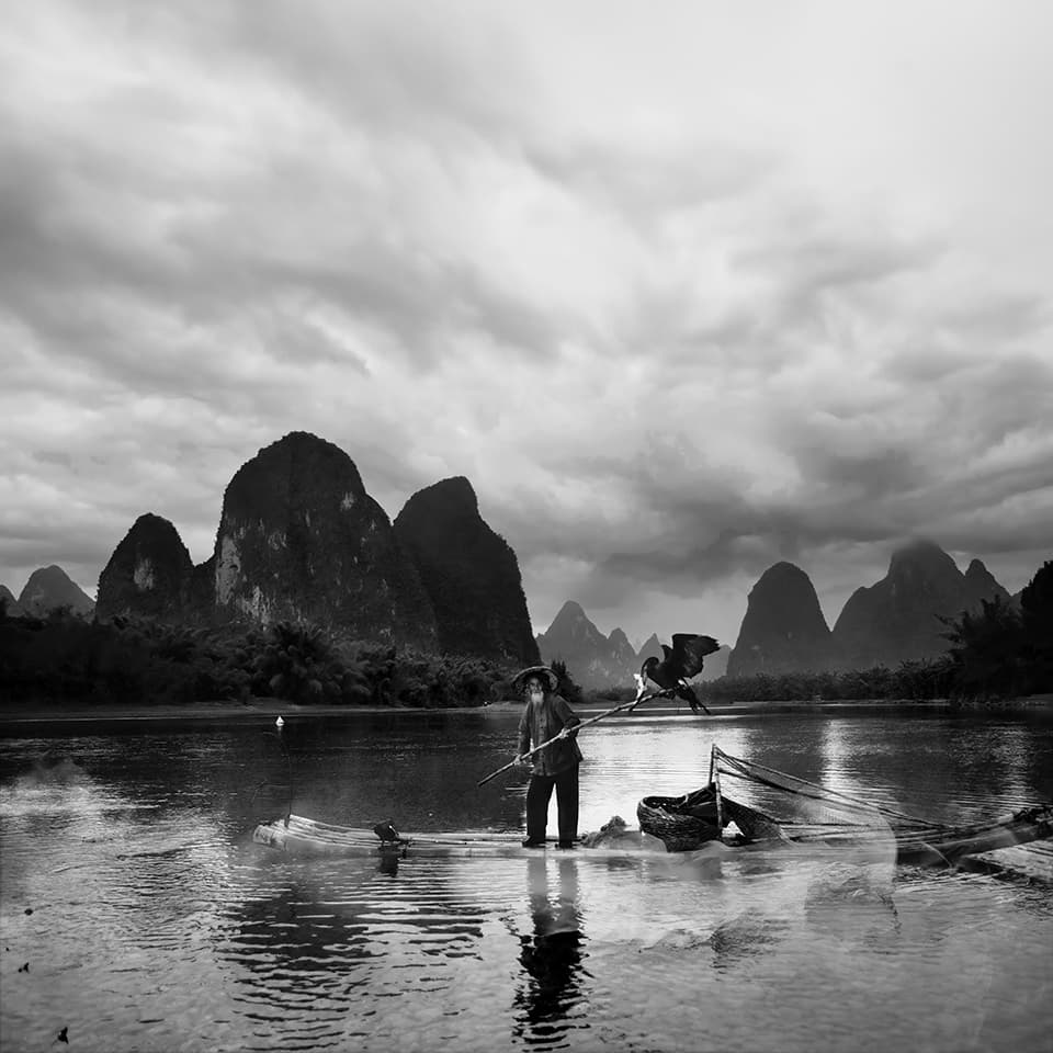 A solitary figure stands amidst the ethereal landscape of Guilin, China. The fisherman, poised on his raft, is dwarfed by the majestic karst mountains that loom in the background. A cormorant, his faithful fishing companion, takes flight nearby. This image captures the delicate balance between man and nature, tradition and timelessness. The misty atmosphere and reflecting waters create a dreamlike quality, inviting viewers to step into a world where ancient practices still thrive in harmony with the breathtaking natural world.